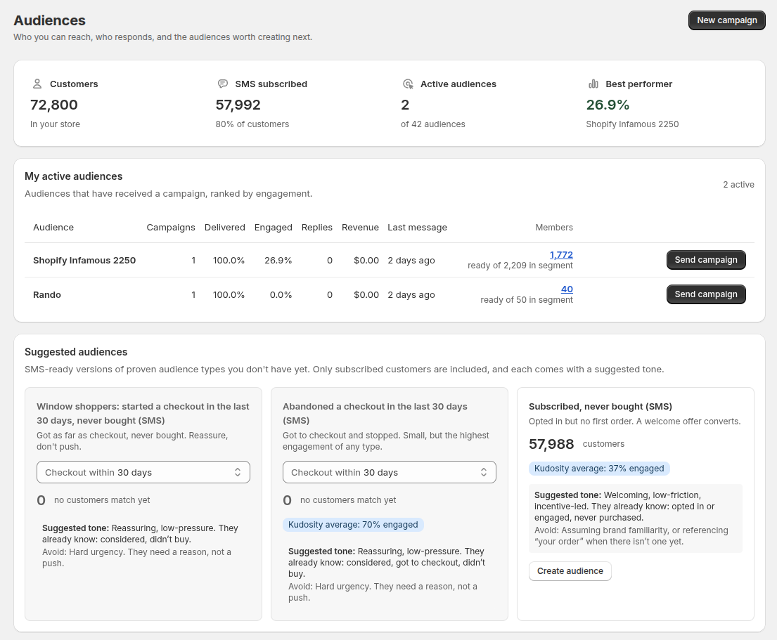 The Audiences page showing active audiences and suggested audiences